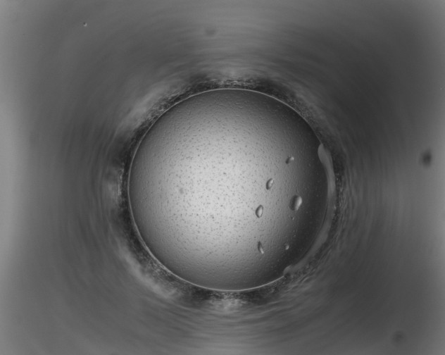 X0000116760695200912241143