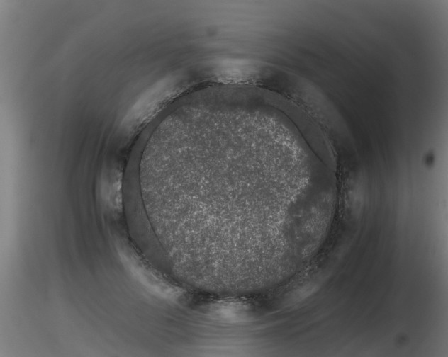 X0000116760696200912241143