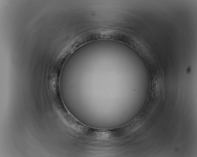 X0000116760698200912241143