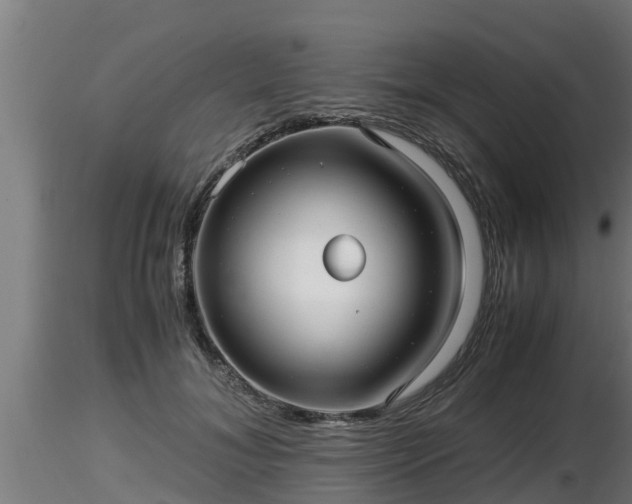 X0000116760700200912241143