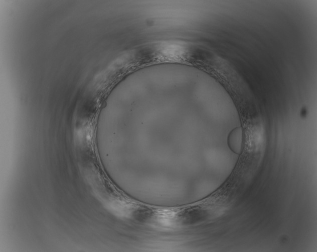 X0000116760701200912241143