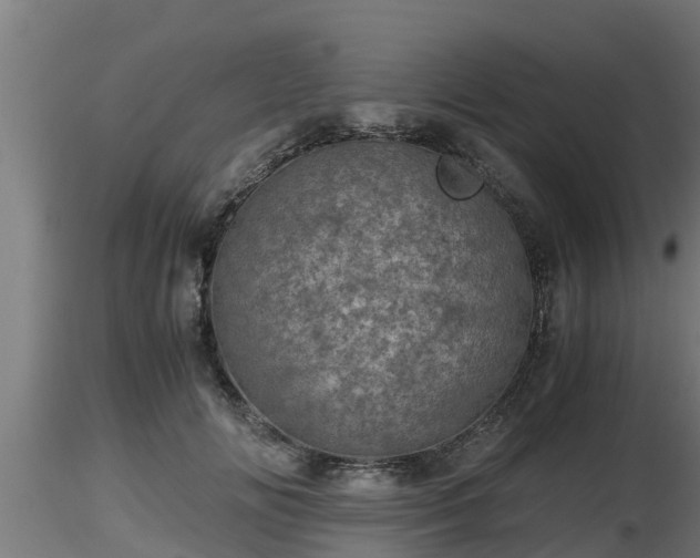 X0000116760702200912241143