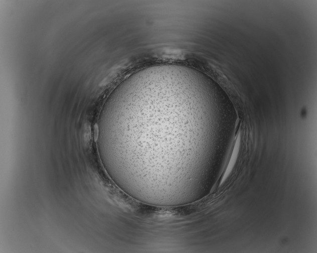X0000116760704200912241142