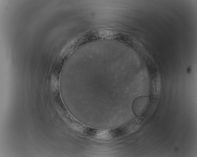 X0000116760705200912241142