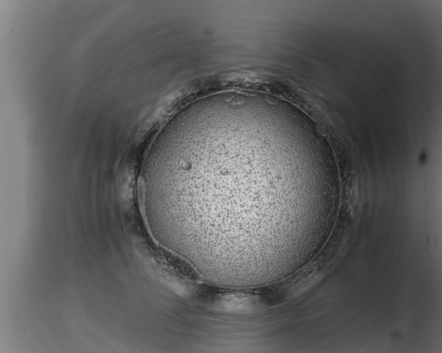 X0000116760708200912241142