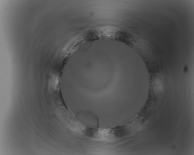 X0000116760709200912241142