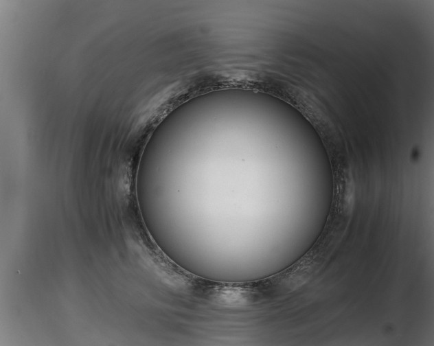 X0000116760710200912241142