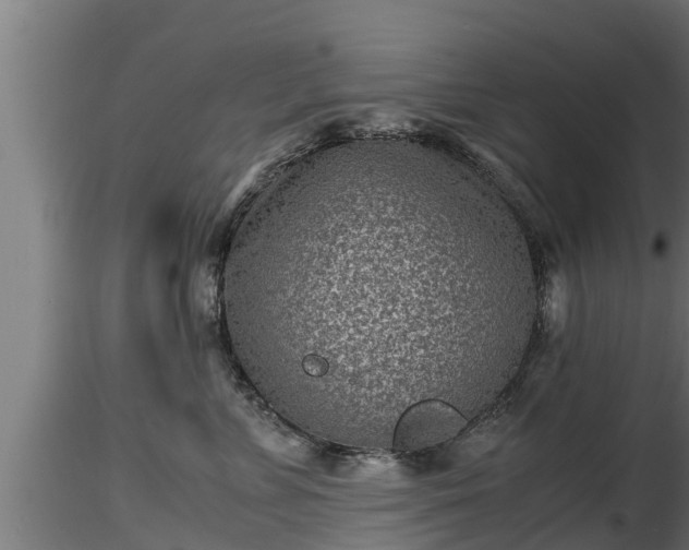 X0000116760715200912241142