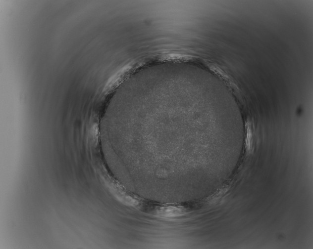 X0000116760716200912241142
