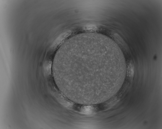 X0000116760717200912241142