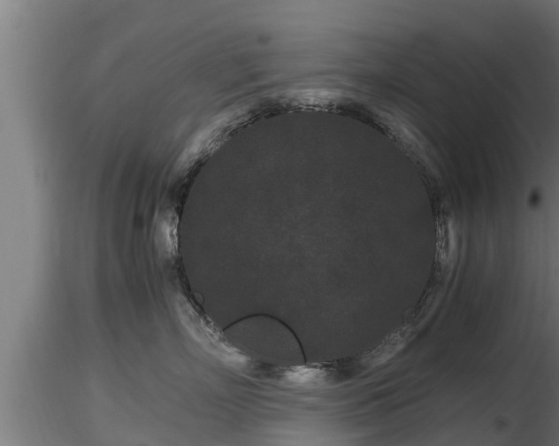 X0000116760718200912241142