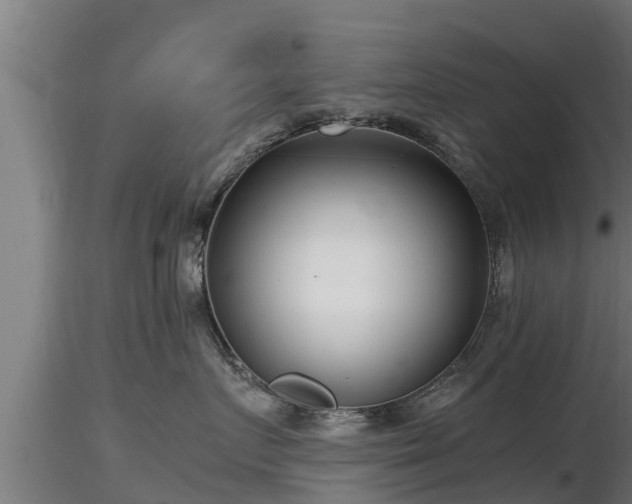 X0000116760719200912241142