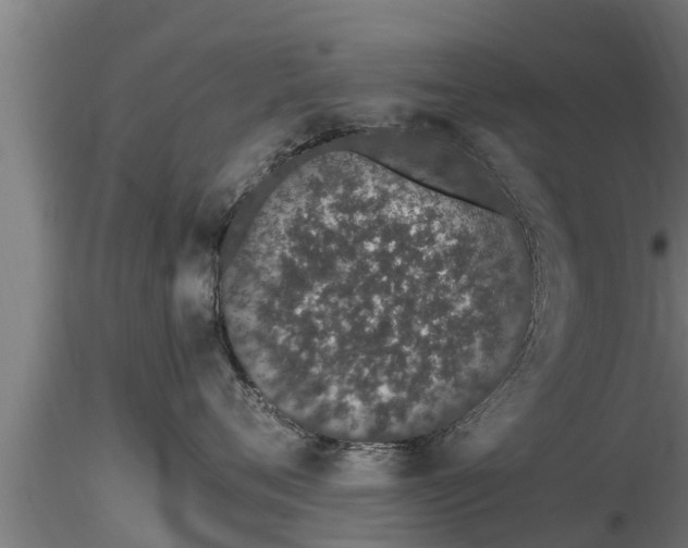 X0000116760720200912241142