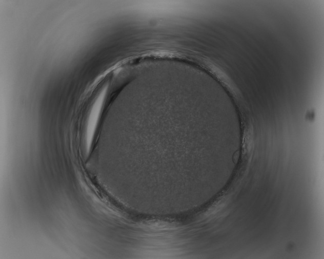 X0000116760722200912241142