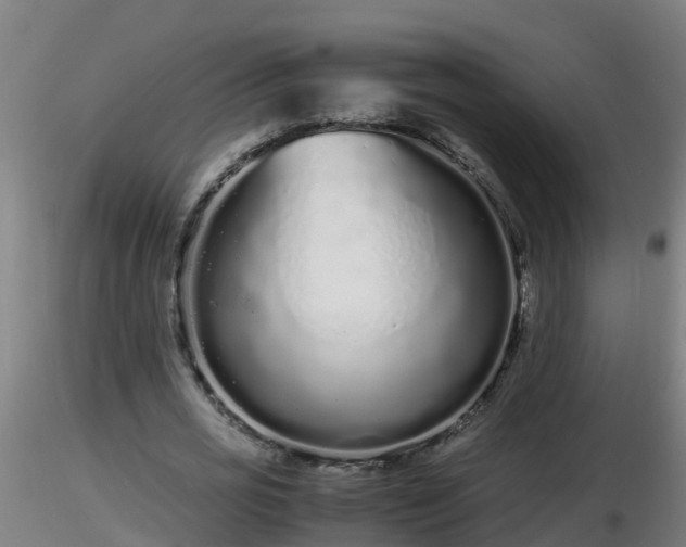 X0000116760725200912241142