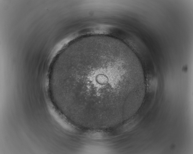 X0000116760726200912241142
