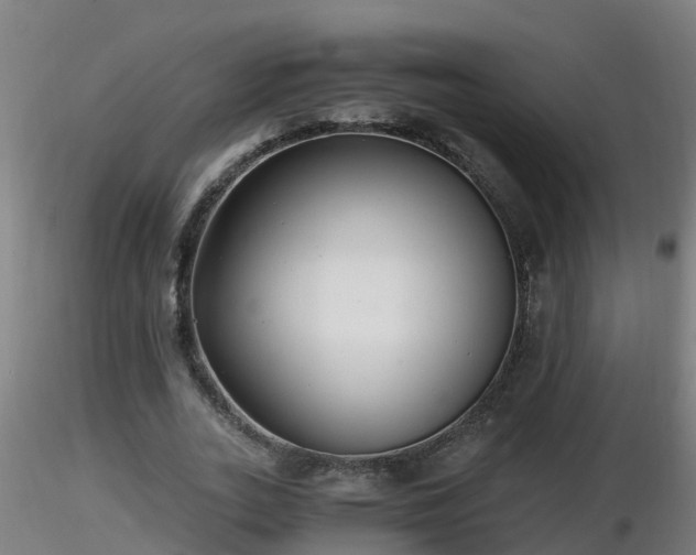 X0000116760727200912241142