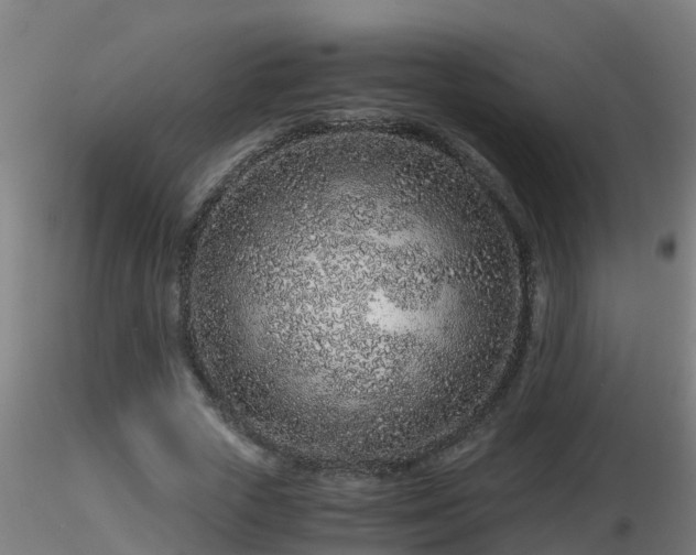 X0000116760729200912241142