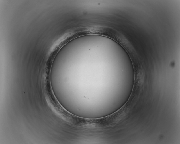 X0000116760730200912241142