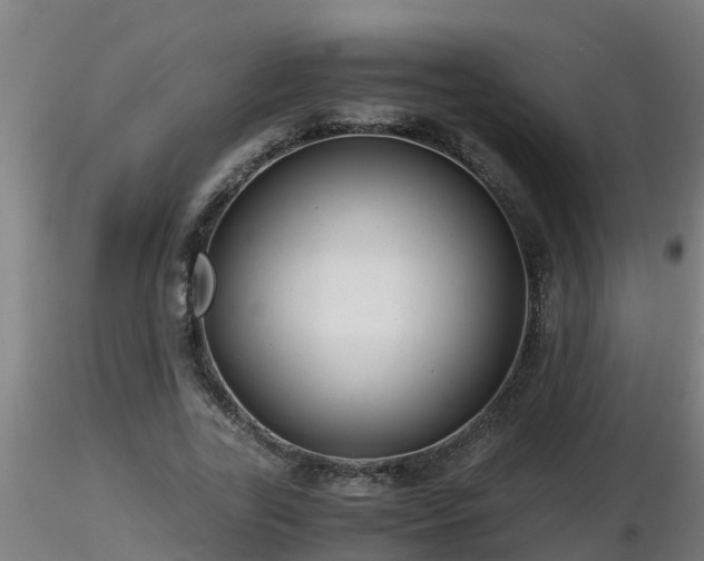 X0000116760731200912241142
