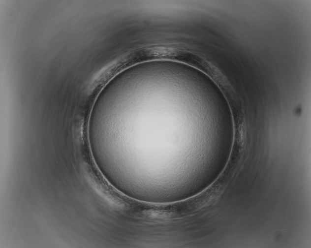 X0000116760733200912241142