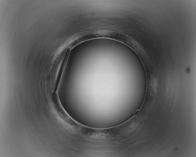 X0000116760734200912241142