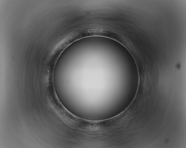 X0000116760735200912241142