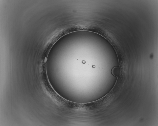 X0000116760738200912241142