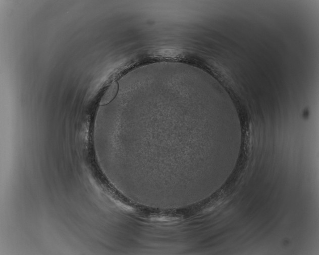 X0000116760739200912241142