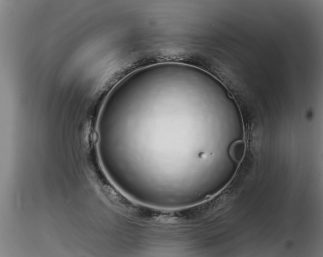 X0000116760742200912241142