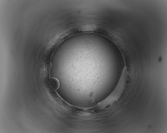 X0000116760743200912241142