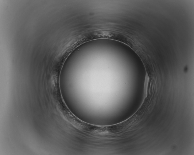X0000116760747200912241142