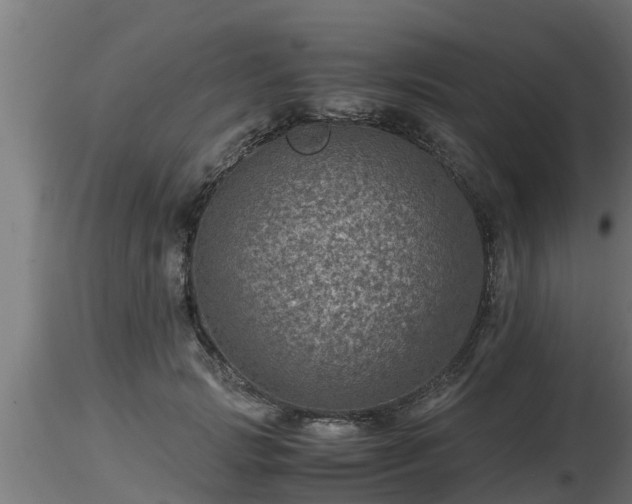 X0000116760749200912241142