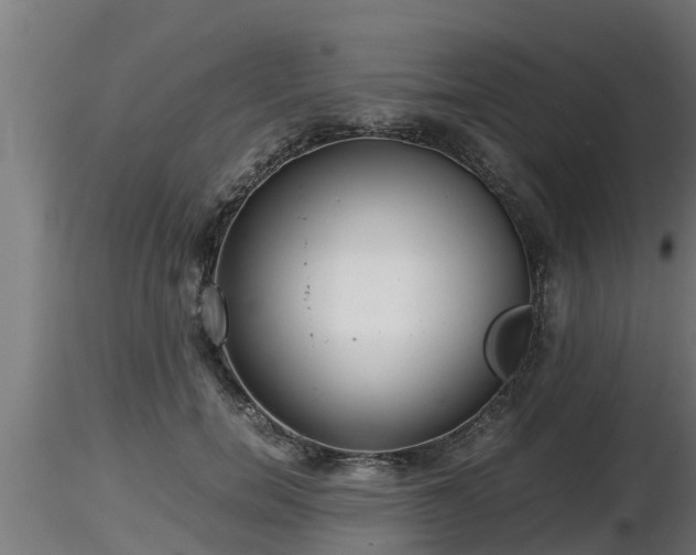 X0000116760750200912241142