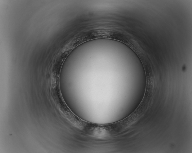 X0000116760751200912241142