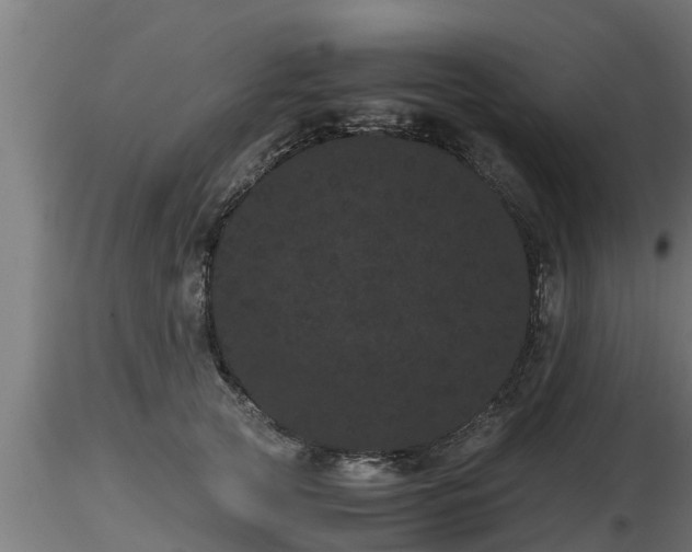X0000116760753200912241142