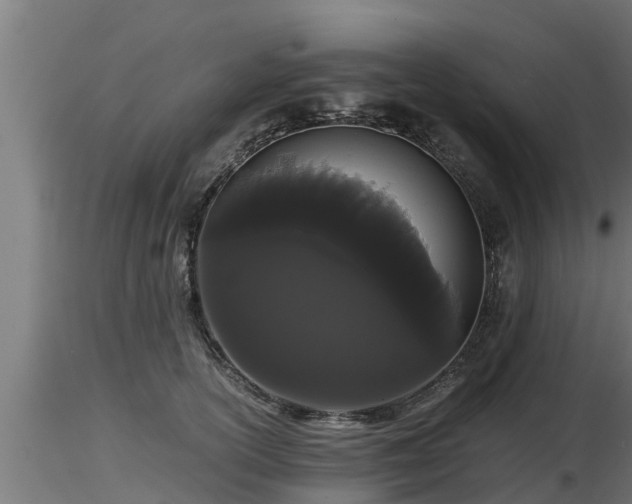 X0000116760754200912241142