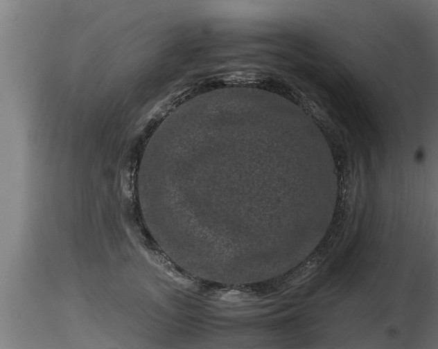 X0000116760755200912241142