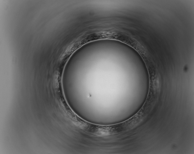 X0000116760757200912241142