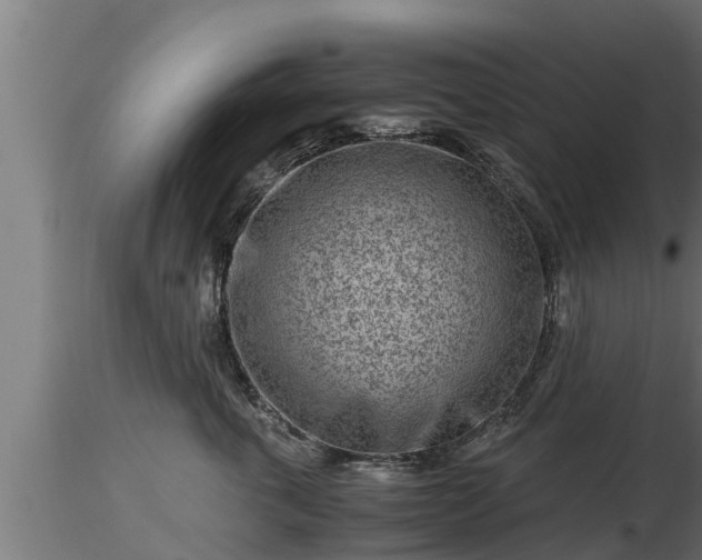 X0000116760763200912241142