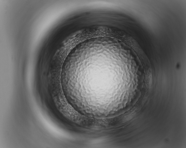 X0000116760765200912241142