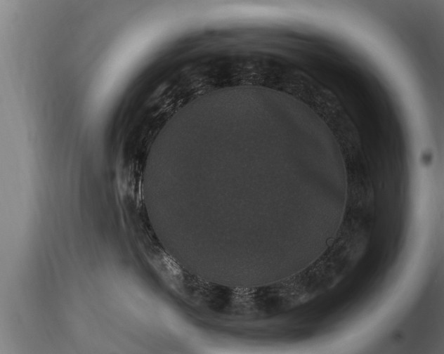 X0000116760766200912241142