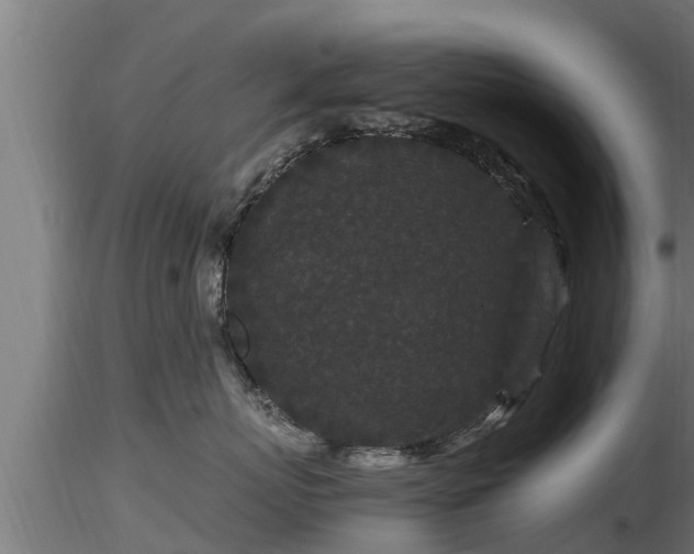 X0000116760767200912241142