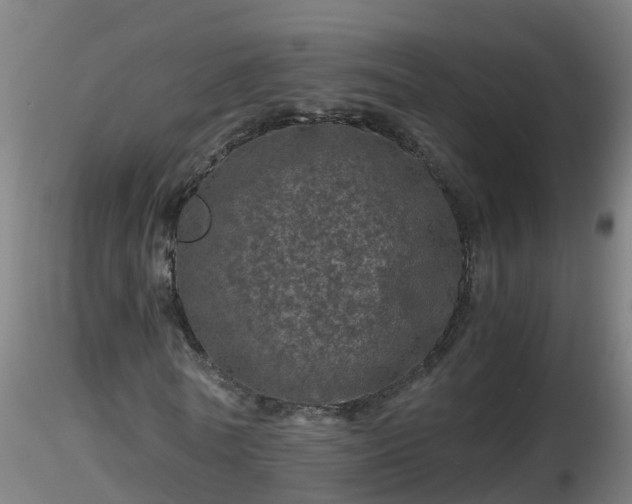 X0000116760770200912241142