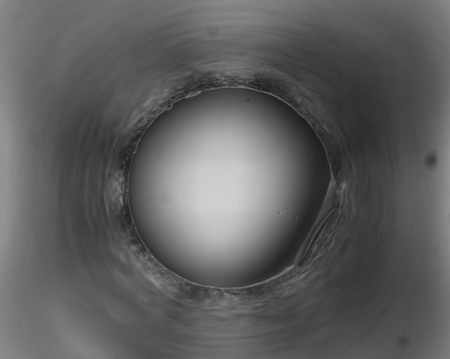 X0000116760772200912241142