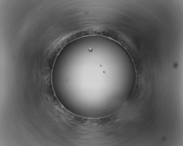 X0000116760773200912241142
