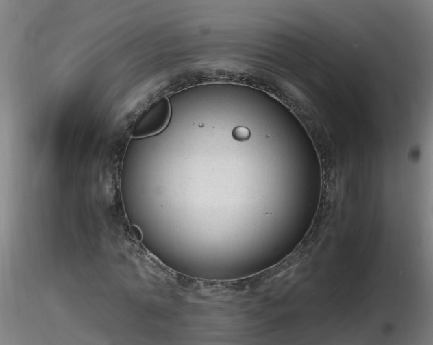 X0000116760774200912241142