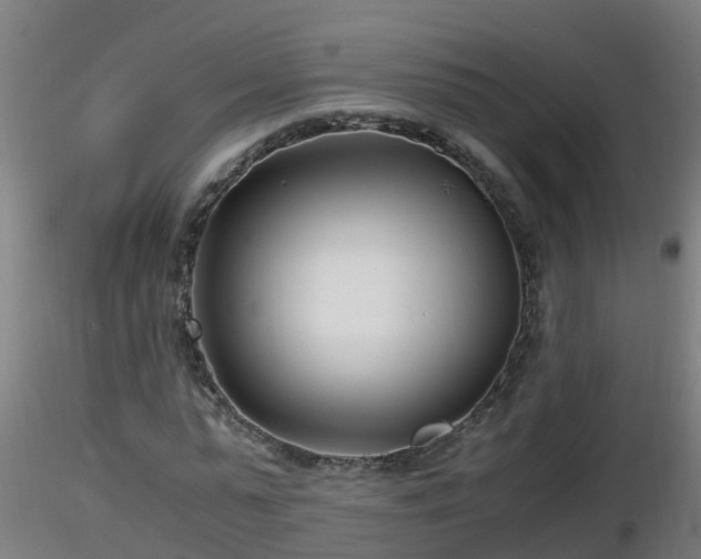 X0000116760775200912241142