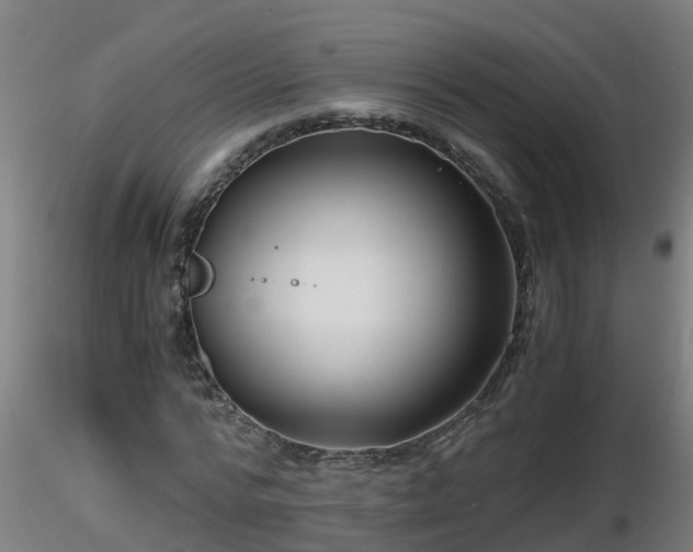 X0000116760776200912241141