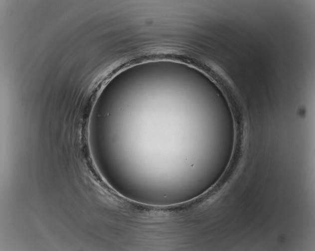 X0000116760777200912241141